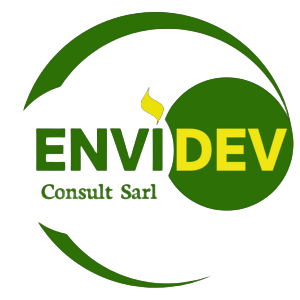 Envidev consult