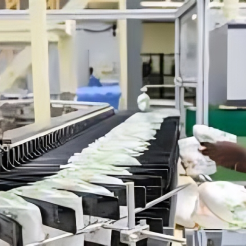 téléchargement (1) (2)